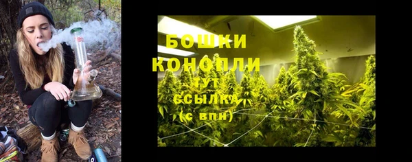 сатива Белоозёрский